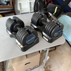 ProForm Adjustable Dumbbell Pair (10lbs - 50lbs)