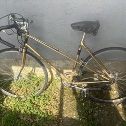 Women’s Speed Bike