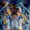 🐅 Tiger