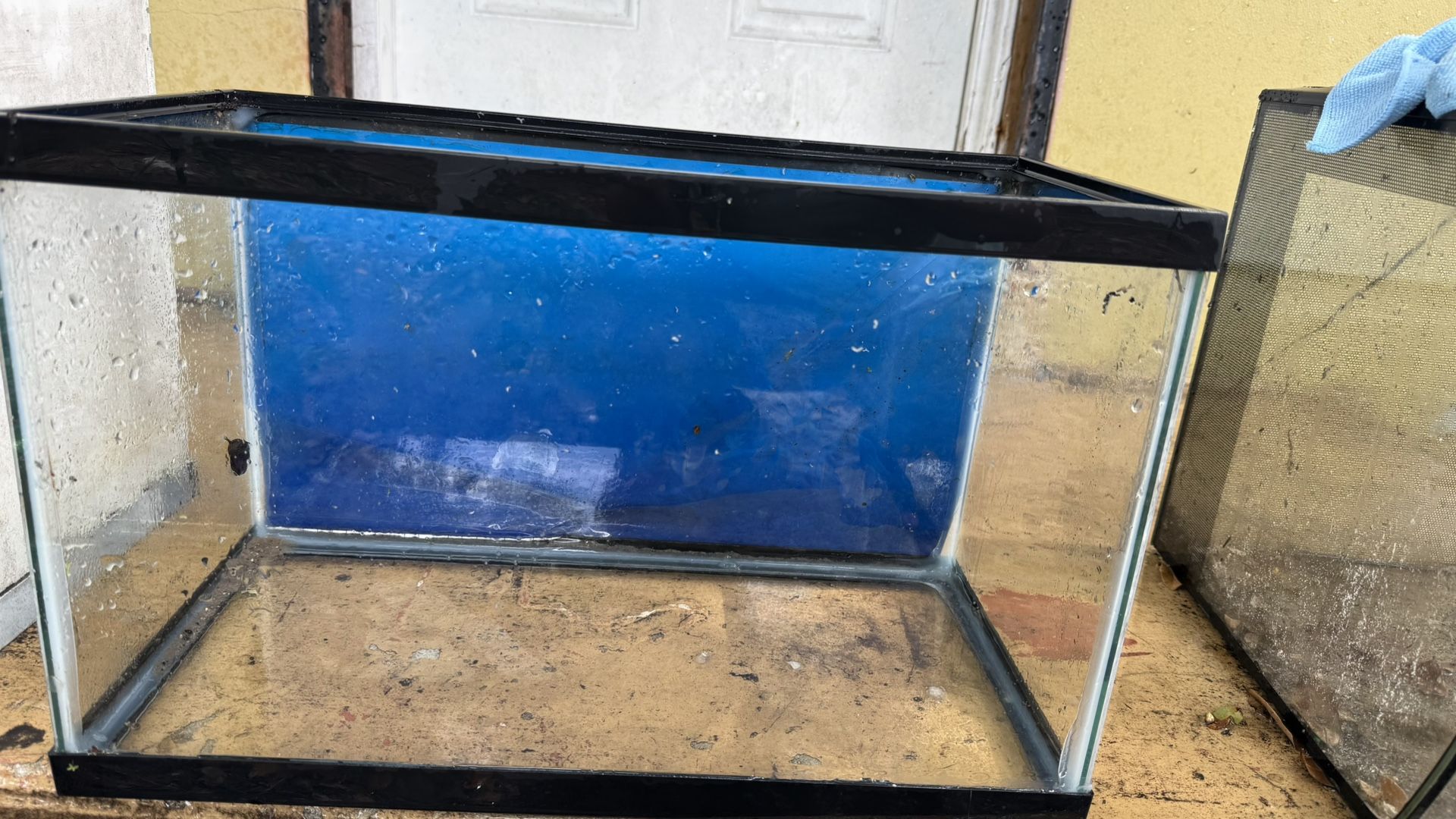 Fish Tank 5 Gallon 