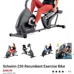 Schwinn 230 Recumbent Exercise Bike 