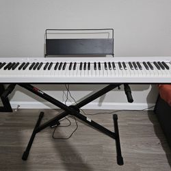 Casio CDP S110