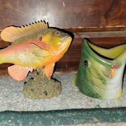 Fish Display& Largemouth Koozie