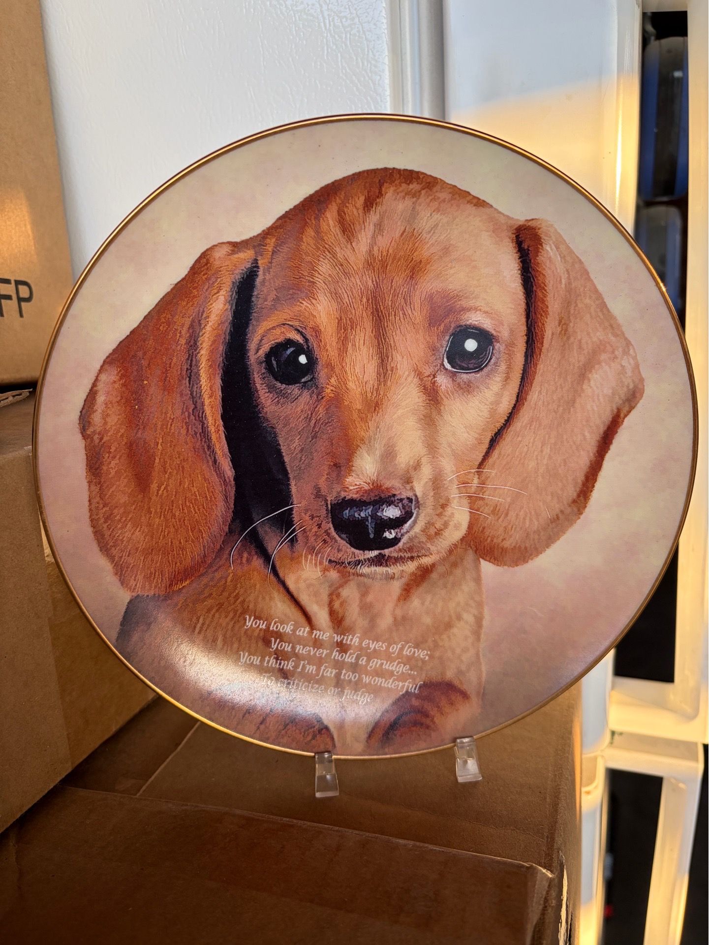 Dog plate