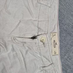 Hollister 