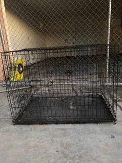Big dog crate