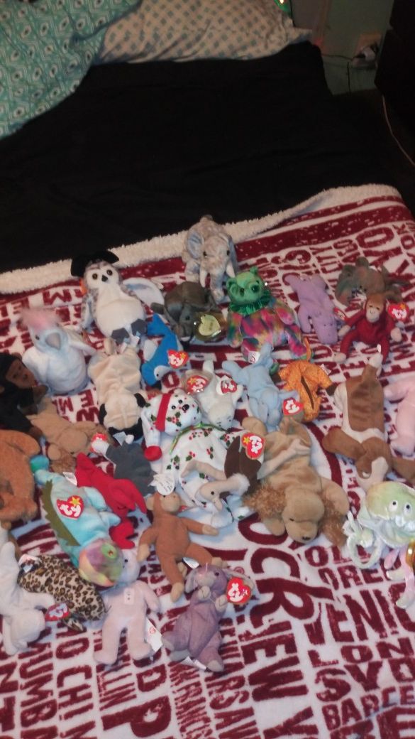 31 Beanie Babies $20for all