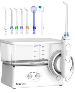 Water Dental Flosser 