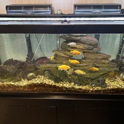 75gal. Freshwater Tank.