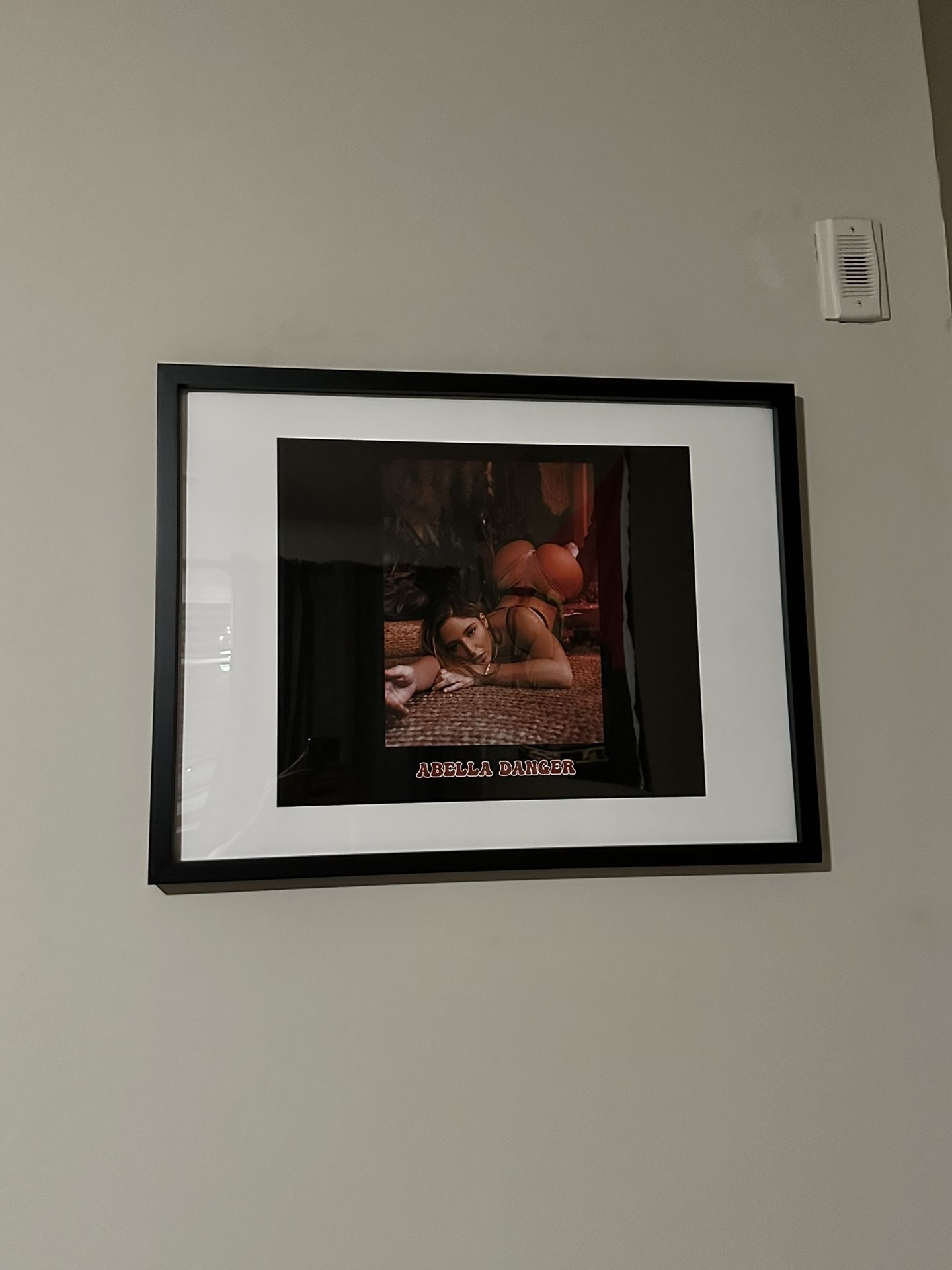 Abella Danger Framed Picture for Sale in College Park, MD - OfferUp