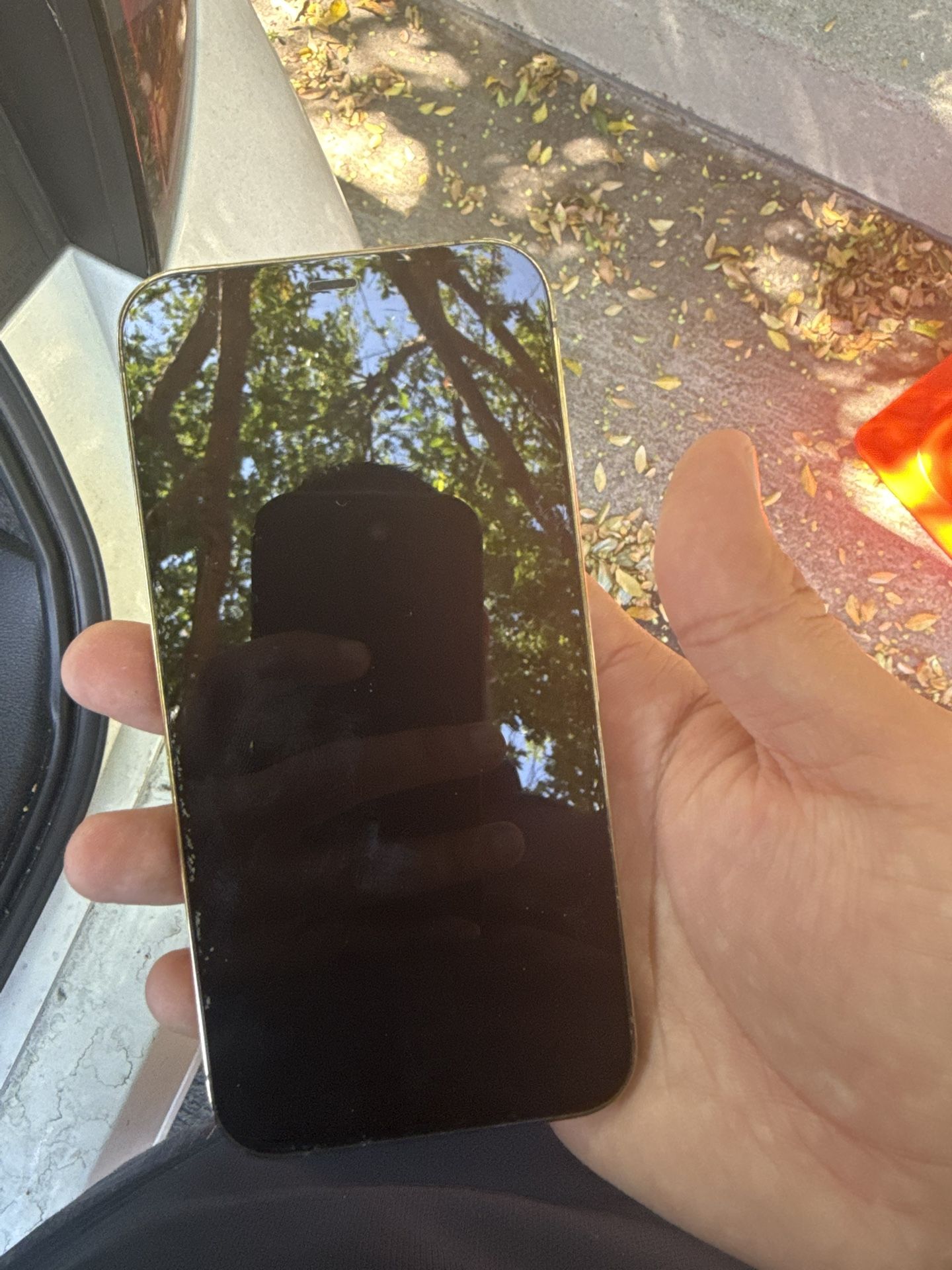 iPhone 12 Pro 512 Gb