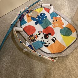Infant baby Einstein gym