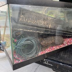Fish tank With Lots Of Extras