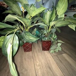 Fake Plants