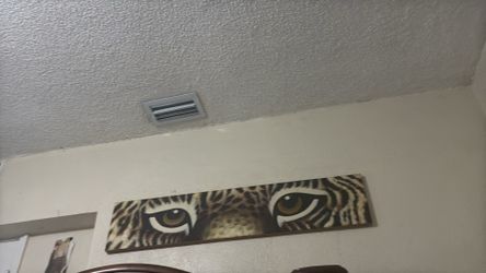 Tiger eye Portrait
