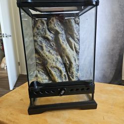 Small Reptile Tank