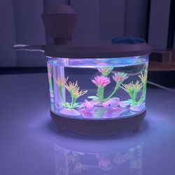 Fish Tank Humidifier