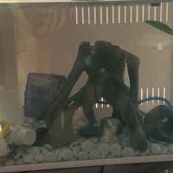 Fish Tank Starter Kit 