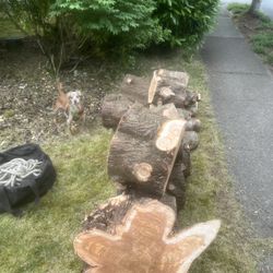 Free Wood 