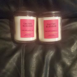 Bath And Body Works 1 Wick Candles 