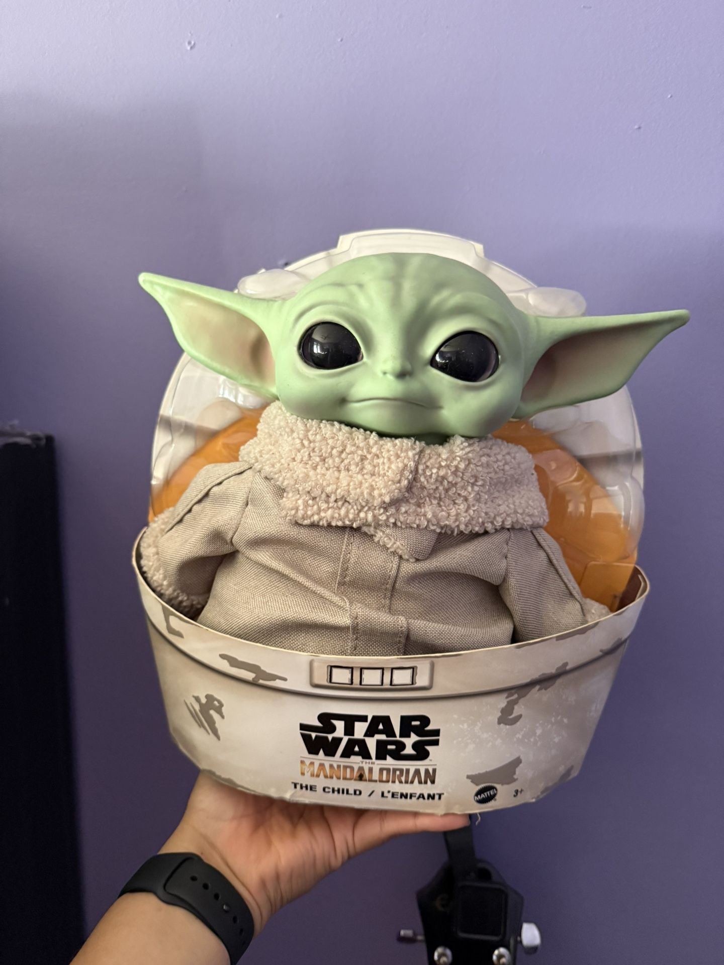 Baby Yoda, The child.