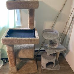 2 Cat Towers