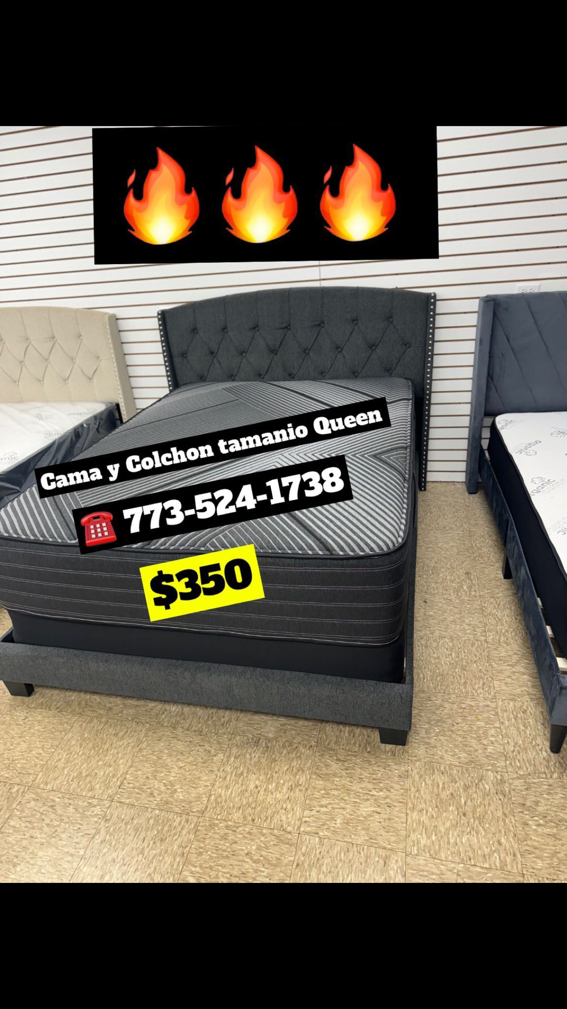 Queen Size Bed Headboard Frame Mattress And Box Spring All Included Brand New Furniture Yes We Deliver