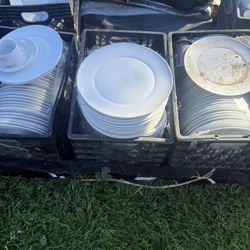 Plates/platos 