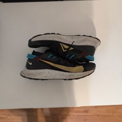 Used Nike Pegasus Trail Running Shoes