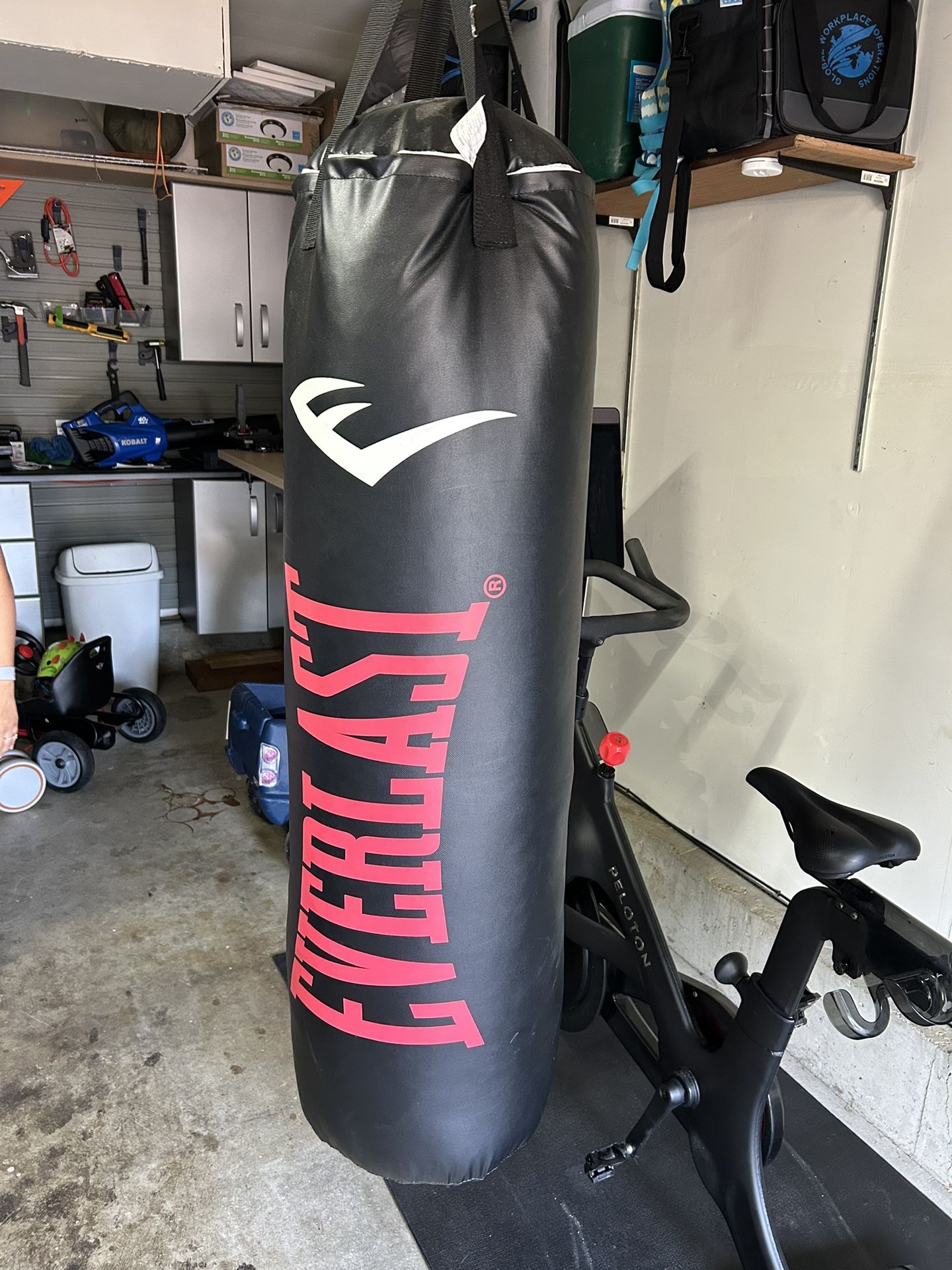 Everlast Heavy Bag