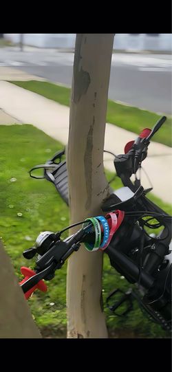 E bike