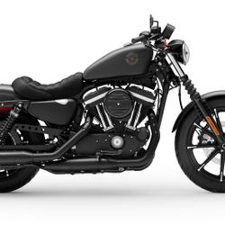 2021 Harley 883 Iron