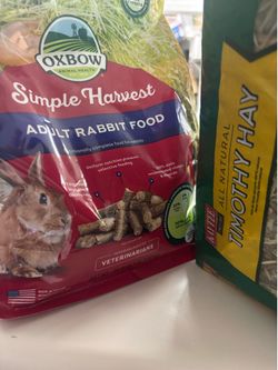Bunny food