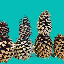 Giant Pine Cone 