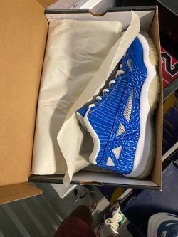 Jordan 11 Low Retro