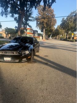 2014 Mustang