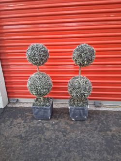 Artificial plants they light up both for $20 pickup 3-8:30 pm rainbow/charleston cash only