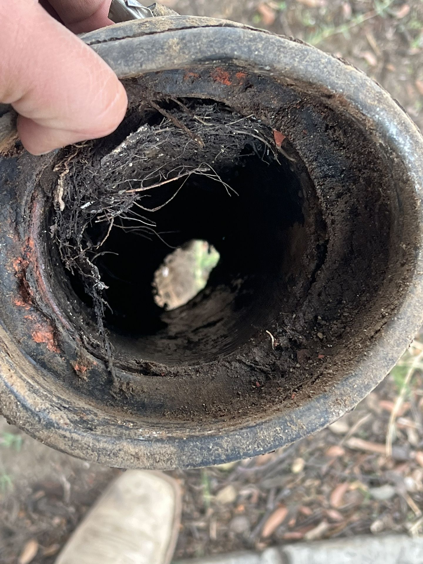 Sewage Septic Root Killer Treatment