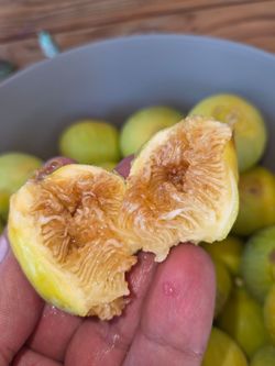 Fresh yellow honey figs for sale