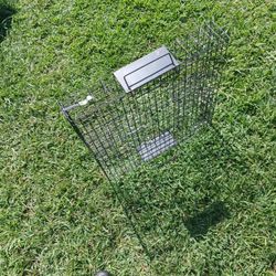 Squirrel Trap