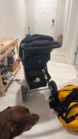 Chicco full stroller