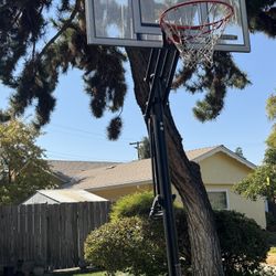 Basketball Hoop 