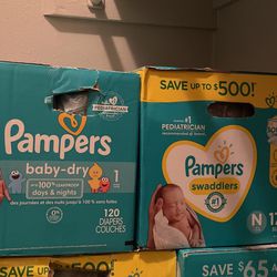 pampers 