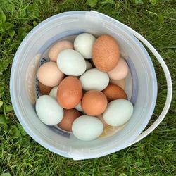 Huevos De Rancho/ Farm Fresh Eggs 