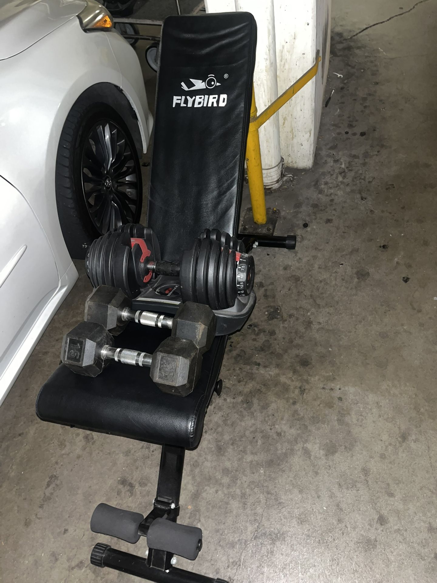 Weights And Bench