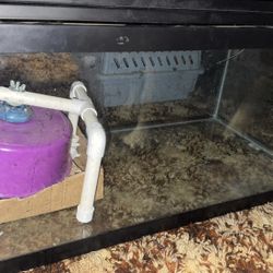 40 Gallon Critter Cage Tank