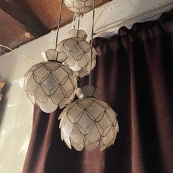 Shell Lamp 