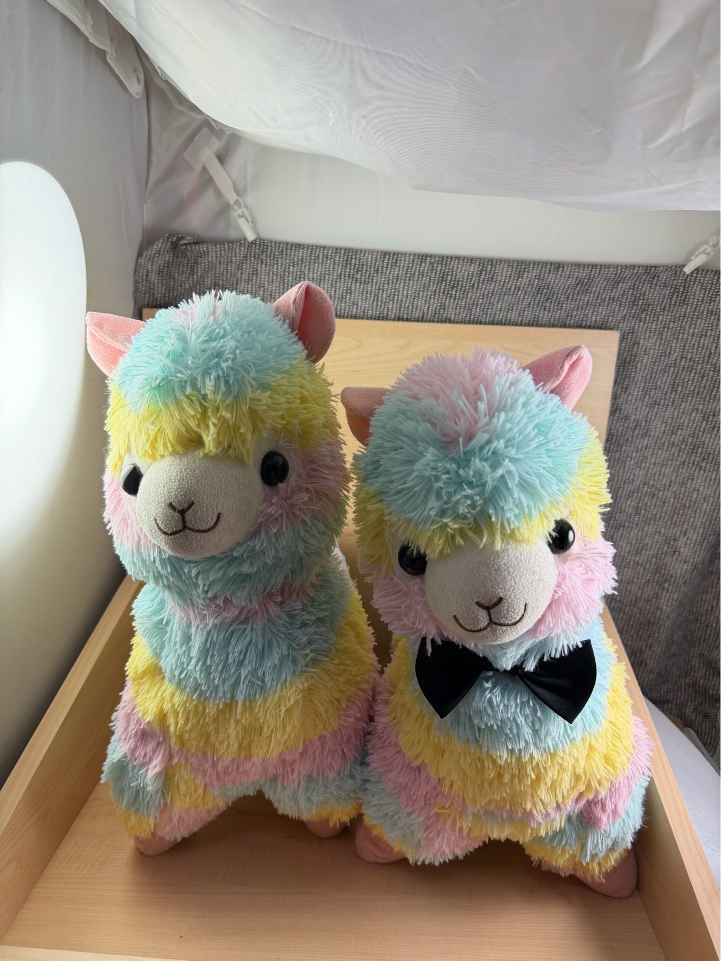 Set of 2 Married Colorful Alpaca/Llama Plushies