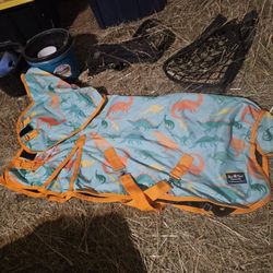 1200D Miniature Horse Turnout 