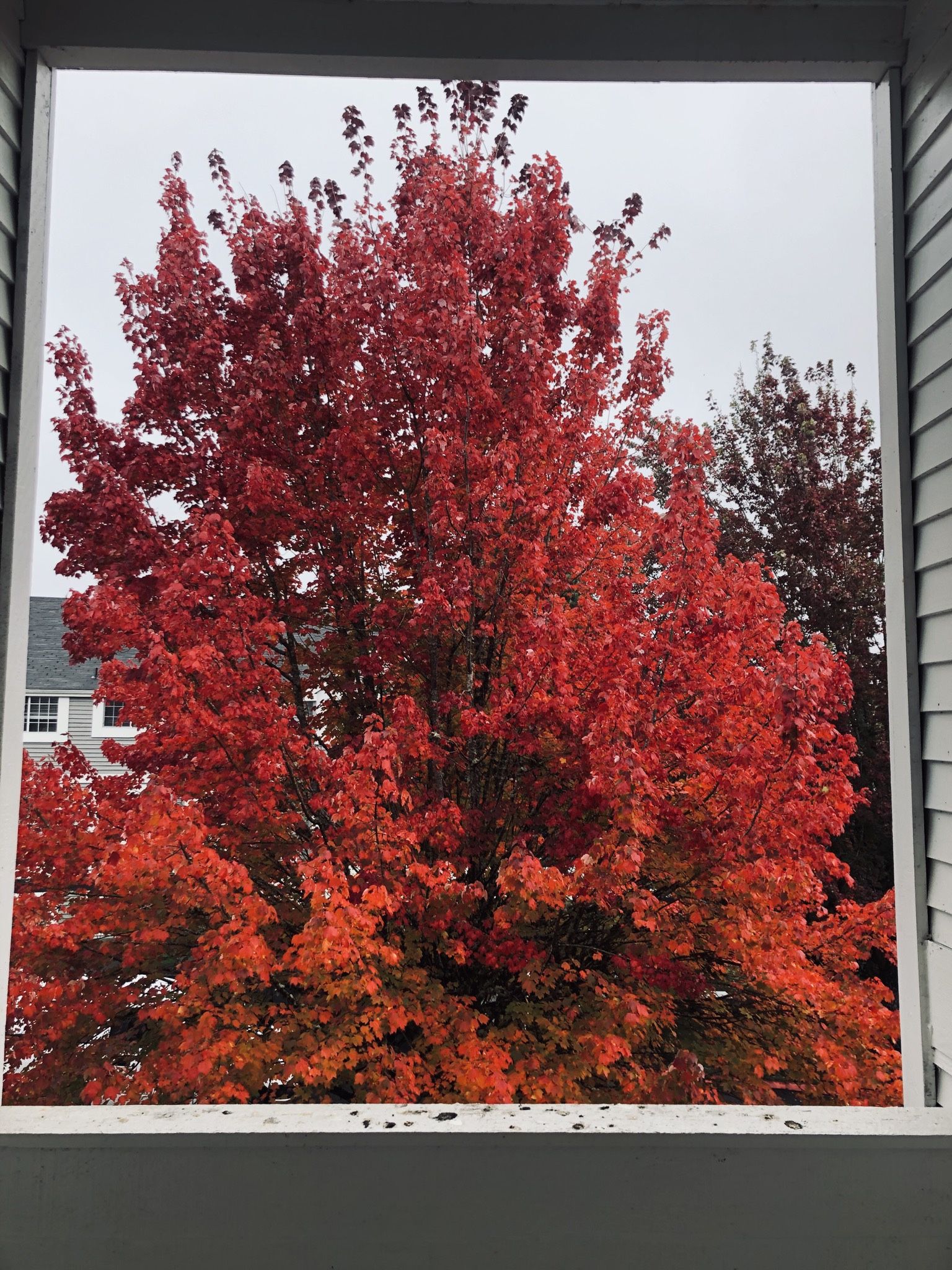 Looking For Ewaist (computers Tablet Old Cell Phones etc) To Recycle And Remove From Land Fills.